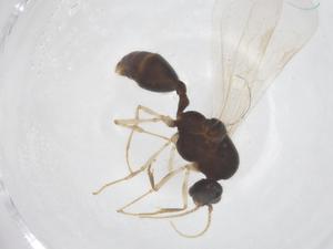  ( - CBG-B02907-G07)  @11 [ ] CreativeCommons - Attribution Share - Alike (2025) Centre for Biodiversity Genomics Centre for Biodiversity Genomics