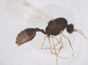  ( - CBG-B04498-F07)  @11 [ ] CreativeCommons - Attribution Share - Alike (2025) Centre for Biodiversity Genomics Centre for Biodiversity Genomics