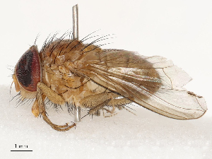  ( - CBG-B07466-B06)  @11 [ ] CreativeCommons - Attribution Share - Alike (2025) CBG Photography Group Centre for Biodiversity Genomics