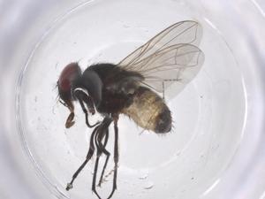  ( - CBG-B19238-H08)  @11 [ ] CreativeCommons - Attribution Share - Alike (2025) Centre for Biodiversity Genomics Centre for Biodiversity Genomics