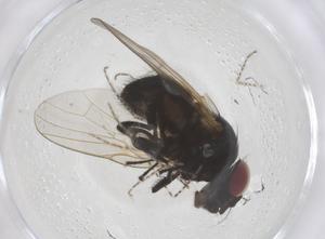  ( - CBG-B00762-B07)  @11 [ ] CreativeCommons - Attribution Share - Alike (2025) Centre for Biodiversity Genomics Centre for Biodiversity Genomics