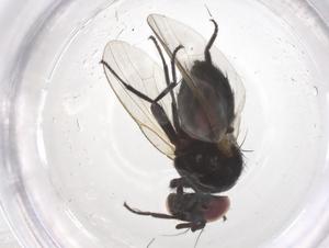  ( - CBG-B01288-E01)  @11 [ ] CreativeCommons - Attribution Share - Alike (2025) Centre for Biodiversity Genomics Centre for Biodiversity Genomics