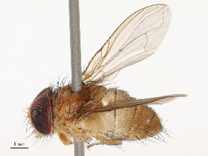  ( - CBG-B14768-G04)  @11 [ ] CreativeCommons - Attribution Share - Alike (2025) CBG Photography Group Centre for Biodiversity Genomics