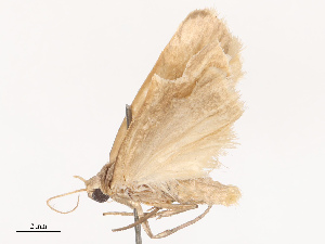  ( - CBG-B14794-G02)  @11 [ ] CreativeCommons - Attribution Share - Alike (2025) CBG Photography Group Centre for Biodiversity Genomics