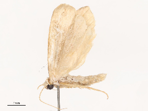  ( - CBG-B14794-G07)  @11 [ ] CreativeCommons - Attribution Share - Alike (2025) CBG Photography Group Centre for Biodiversity Genomics