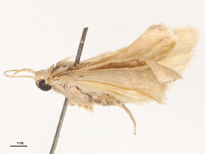  ( - CBG-B14794-G09)  @11 [ ] CreativeCommons - Attribution Share - Alike (2025) CBG Photography Group Centre for Biodiversity Genomics