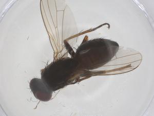  ( - CBG-B19149-F05)  @11 [ ] CreativeCommons - Attribution Share - Alike (2025) Centre for Biodiversity Genomics Centre for Biodiversity Genomics