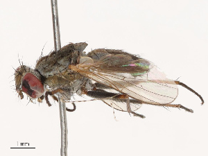  ( - CBG-B19166-H04)  @11 [ ] CreativeCommons - Attribution Share - Alike (2025) CBG Photography Group Centre for Biodiversity Genomics