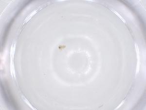  ( - CBG-B21373-F05)  @11 [ ] CreativeCommons - Attribution Share - Alike (2025) Centre for Biodiversity Genomics Centre for Biodiversity Genomics