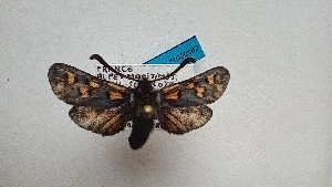  ( - GIRAZ_ED0182)  @11 [ ] Copyright (2024) Drouet Eric Research Collection of Eric Drouet