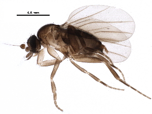  ( - BIOUG28027-E02)  @15 [ ] CreativeCommons - Attribution (2016) CBG Photography Group Centre for Biodiversity Genomics