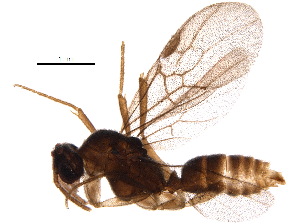  ( - BIOUG19395-G03)  @14 [ ] CreativeCommons - Attribution (2015) CBG Photography Group Centre for Biodiversity Genomics