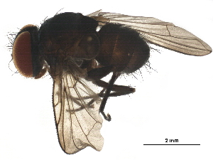  ( - BIOUG22612-H02)  @11 [ ] CreativeCommons - Attribution (2019) CBG Photography Group Centre for Biodiversity Genomics