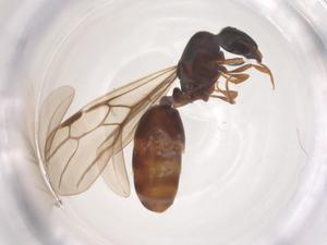  ( - CBG-B16342-H02)  @11 [ ] CreativeCommons - Attribution Share - Alike (2025) Centre for Biodiversity Genomics Centre for Biodiversity Genomics