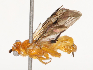  ( - CBG-B00050-B05)  @11 [ ] CreativeCommons - Attribution Share - Alike (2025) CBG Photography Group Centre for Biodiversity Genomics