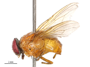  ( - CBG-B00053-B05)  @11 [ ] CreativeCommons - Attribution Share - Alike (2025) CBG Photography Group Centre for Biodiversity Genomics