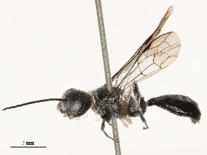  ( - CBG-B00087-H09)  @11 [ ] CreativeCommons - Attribution Share - Alike (2025) CBG Photography Group Centre for Biodiversity Genomics