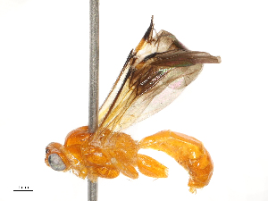  ( - CBG-B00088-B02)  @11 [ ] CreativeCommons - Attribution Share - Alike (2025) CBG Photography Group Centre for Biodiversity Genomics