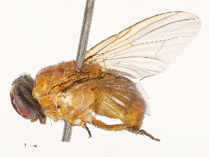  ( - CBG-B00094-F10)  @11 [ ] CreativeCommons - Attribution Share - Alike (2025) CBG Photography Group Centre for Biodiversity Genomics