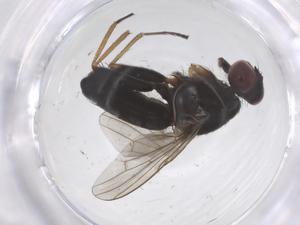  ( - CBG-B00686-G12)  @11 [ ] CreativeCommons - Attribution Share - Alike (2025) Centre for Biodiversity Genomics Centre for Biodiversity Genomics