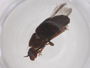  ( - CBG-B01479-A07)  @11 [ ] CreativeCommons - Attribution Share - Alike (2025) Centre for Biodiversity Genomics Centre for Biodiversity Genomics