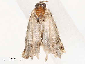  ( - CBG-B01641-C05)  @11 [ ] CreativeCommons - Attribution Share - Alike (2025) CBG Photography Group Centre for Biodiversity Genomics