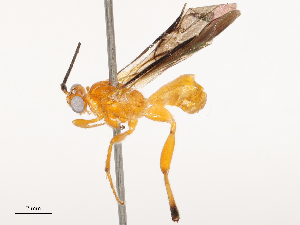  ( - CBG-B01641-E05)  @11 [ ] CreativeCommons - Attribution Share - Alike (2025) CBG Photography Group Centre for Biodiversity Genomics