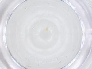  ( - CBG-B01669-C06)  @11 [ ] CreativeCommons - Attribution Share - Alike (2025) Centre for Biodiversity Genomics Centre for Biodiversity Genomics