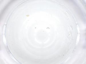  ( - CBG-B01669-D01)  @11 [ ] CreativeCommons - Attribution Share - Alike (2025) Centre for Biodiversity Genomics Centre for Biodiversity Genomics