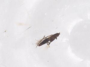  ( - CBG-B01670-E05)  @11 [ ] CreativeCommons - Attribution Share - Alike (2025) Centre for Biodiversity Genomics Centre for Biodiversity Genomics