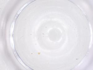  ( - CBG-B01670-E09)  @11 [ ] CreativeCommons - Attribution Share - Alike (2025) Centre for Biodiversity Genomics Centre for Biodiversity Genomics