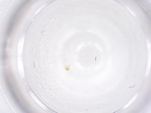  ( - CBG-B01670-F11)  @11 [ ] CreativeCommons - Attribution Share - Alike (2025) Centre for Biodiversity Genomics Centre for Biodiversity Genomics