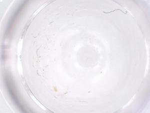  ( - CBG-B01670-G11)  @11 [ ] CreativeCommons - Attribution Share - Alike (2025) Centre for Biodiversity Genomics Centre for Biodiversity Genomics