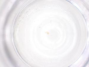  ( - CBG-B01670-H04)  @11 [ ] CreativeCommons - Attribution Share - Alike (2025) Centre for Biodiversity Genomics Centre for Biodiversity Genomics