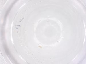  ( - CBG-B02074-C11)  @11 [ ] CreativeCommons - Attribution Share - Alike (2025) Centre for Biodiversity Genomics Centre for Biodiversity Genomics