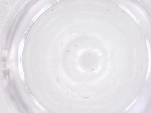  ( - CBG-B02074-E04)  @11 [ ] CreativeCommons - Attribution Share - Alike (2025) Centre for Biodiversity Genomics Centre for Biodiversity Genomics