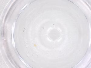  ( - CBG-B02074-E08)  @11 [ ] CreativeCommons - Attribution Share - Alike (2025) Centre for Biodiversity Genomics Centre for Biodiversity Genomics