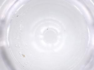  ( - CBG-B02075-D12)  @11 [ ] CreativeCommons - Attribution Share - Alike (2025) Centre for Biodiversity Genomics Centre for Biodiversity Genomics