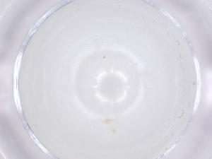  ( - CBG-B02075-E03)  @11 [ ] CreativeCommons - Attribution Share - Alike (2025) Centre for Biodiversity Genomics Centre for Biodiversity Genomics