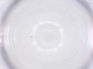  ( - CBG-B02081-F07)  @11 [ ] CreativeCommons - Attribution Share - Alike (2025) Centre for Biodiversity Genomics Centre for Biodiversity Genomics