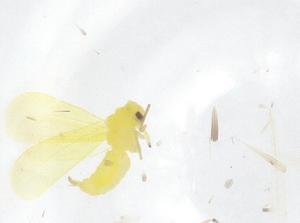  ( - CBG-B02823-H08)  @11 [ ] CreativeCommons - Attribution Share - Alike (2025) Centre for Biodiversity Genomics Centre for Biodiversity Genomics