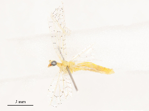  ( - CBG-B04135-F05)  @11 [ ] CreativeCommons - Attribution Share - Alike (2025) CBG Photography Group Centre for Biodiversity Genomics