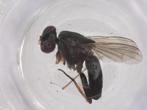  ( - CBG-B21023-E07)  @11 [ ] CreativeCommons - Attribution Share - Alike (2025) Centre for Biodiversity Genomics Centre for Biodiversity Genomics