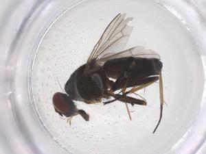  ( - CBG-B21023-H04)  @11 [ ] CreativeCommons - Attribution Share - Alike (2025) Centre for Biodiversity Genomics Centre for Biodiversity Genomics