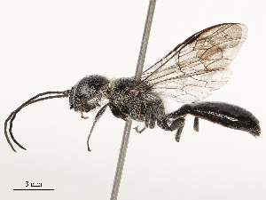  ( - CBG-B21240-D05)  @11 [ ] CreativeCommons - Attribution Share - Alike (2025) CBG Photography Group Centre for Biodiversity Genomics