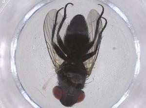  ( - CBG-B22193-D03)  @11 [ ] CreativeCommons - Attribution Share - Alike (2025) Centre for Biodiversity Genomics Centre for Biodiversity Genomics