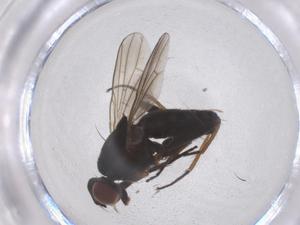  ( - CBG-B22197-D10)  @11 [ ] CreativeCommons - Attribution Share - Alike (2025) Centre for Biodiversity Genomics Centre for Biodiversity Genomics