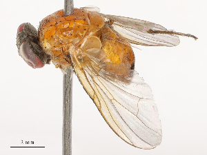  ( - CBG-B23309-C11)  @11 [ ] CreativeCommons - Attribution Share - Alike (2025) CBG Photography Group Centre for Biodiversity Genomics