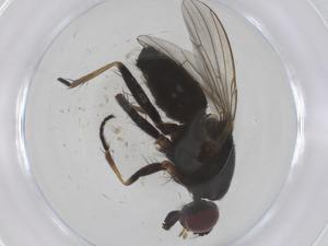  ( - CBG-B23409-B07)  @11 [ ] CreativeCommons - Attribution Share - Alike (2025) Centre for Biodiversity Genomics Centre for Biodiversity Genomics