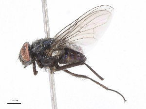  ( - CBG-A10765-H04)  @11 [ ] CreativeCommons - Attribution Share - Alike (2023) CBG Photography Group Centre for Biodiversity Genomics
